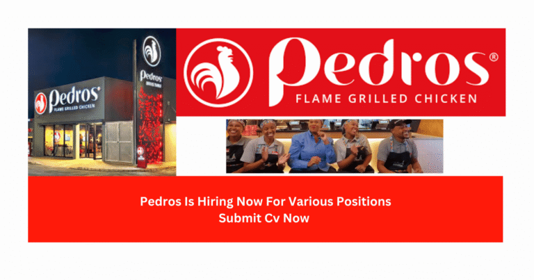 How to Apply for a Job at Pedros South Africa (Step-by-Step Guide)