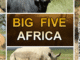 Top 5 travel destinations in South Africa 2025 festive season